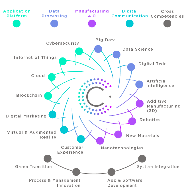 Mappa delle Competenze C.NEXT - La Margherita del Modello NExT Innovation